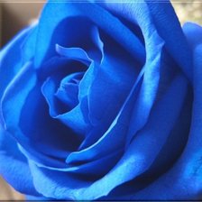 Схема вышивки «№733803»