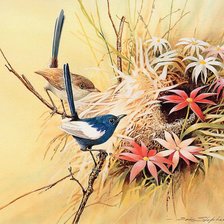 Схема вышивки «Птички 2»