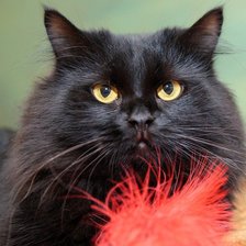 Схема вышивки «№733847»