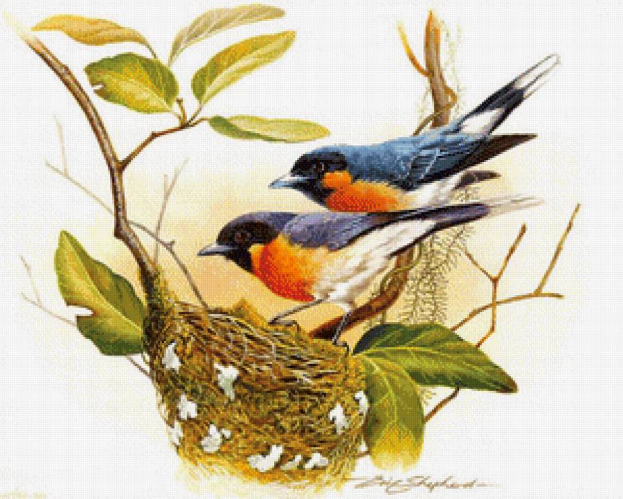 Птички1 - предпросмотр