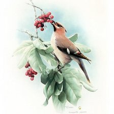 Схема вышивки «птичка2»