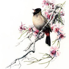 Схема вышивки «птичка4»