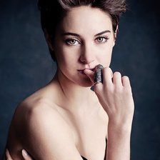 Схема вышивки «Шайлин Вудли»