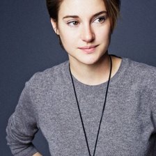 Схема вышивки «Шайлин Вудли»