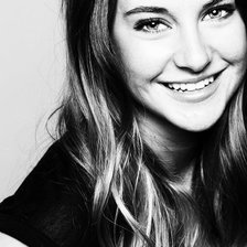 Схема вышивки «Шайлин Вудли»