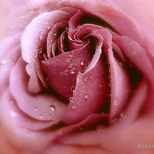 Схема вышивки «№734070»