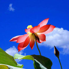 Схема вышивки «Небо»