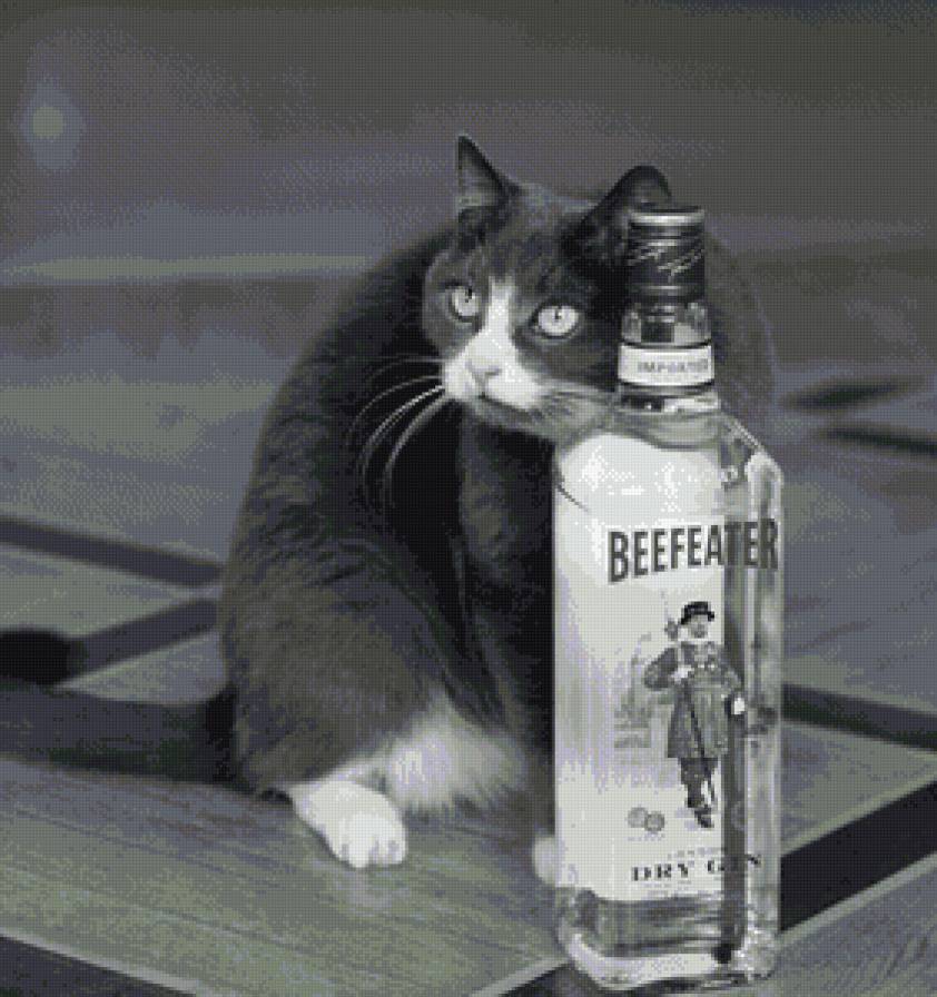 еще по 50 и все - кот, коты, котики - предпросмотр