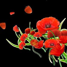 Схема вышивки «Маки»