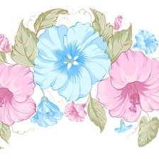 Схема вышивки «вьюнок»