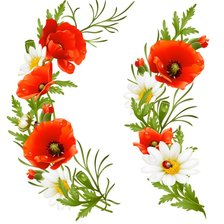 Схема вышивки «маки-ромашки»