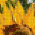 Предпросмотр схемы вышивки «słoneczniki» (№734256)