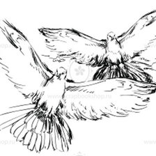 Схема вышивки «голуби»