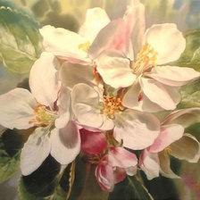 Схема вышивки «Серия Цветы»