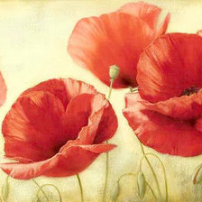 Схема вышивки «Волшебные маки_2»