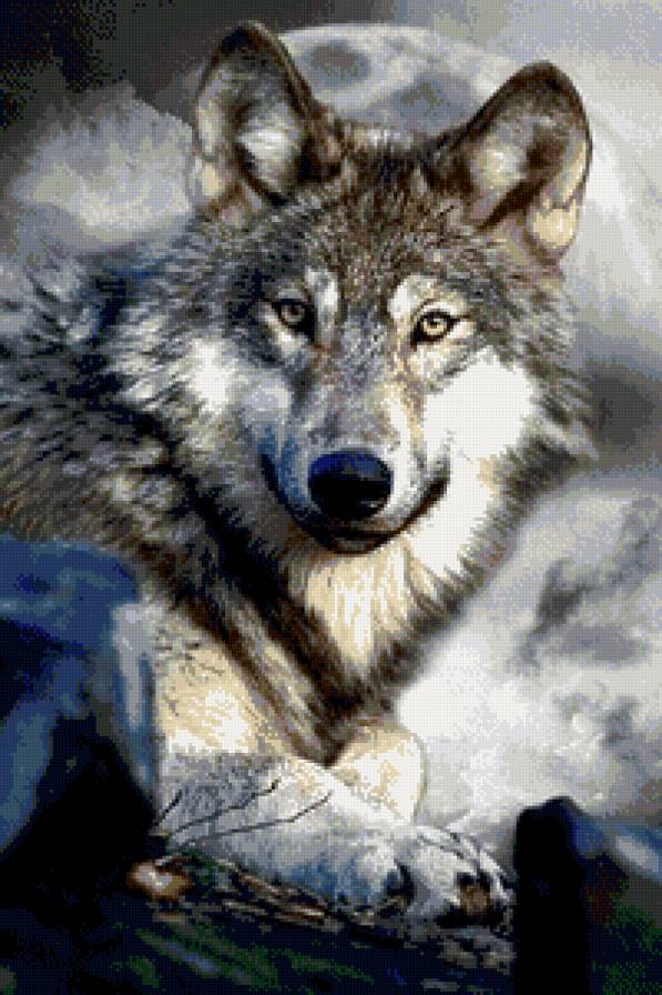 волк - дикие животные, волк - предпросмотр