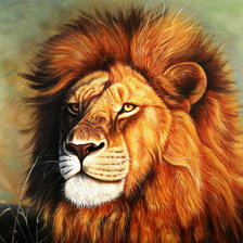 Схема вышивки «царь зверей»