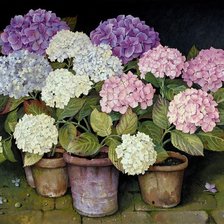 Схема вышивки «гортензии»