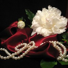 Схема вышивки «пионы»