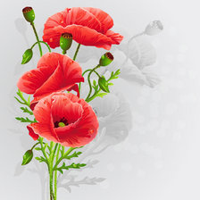 Схема вышивки «картина "Маки"»