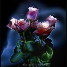 Схема вышивки «Розы»