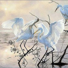 Схема вышивки «Цапли»