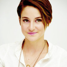 Схема вышивки «Шайлин Вудли»