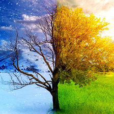 Схема вышивки «Смена сезонов»