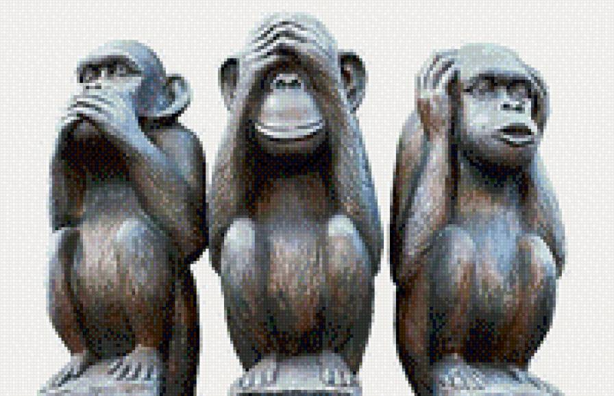 Подружки.. - обезьяна, животное - предпросмотр