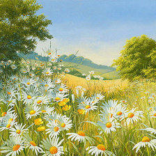 Схема вышивки «ромашковое поле»