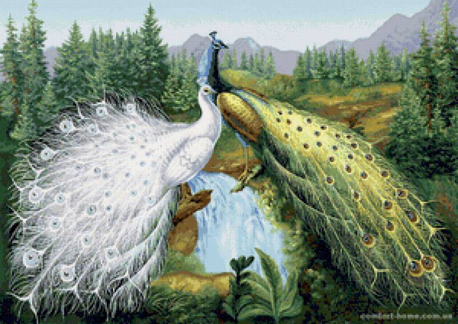 водопад - природа, пейзаж, водопад, птицы - предпросмотр