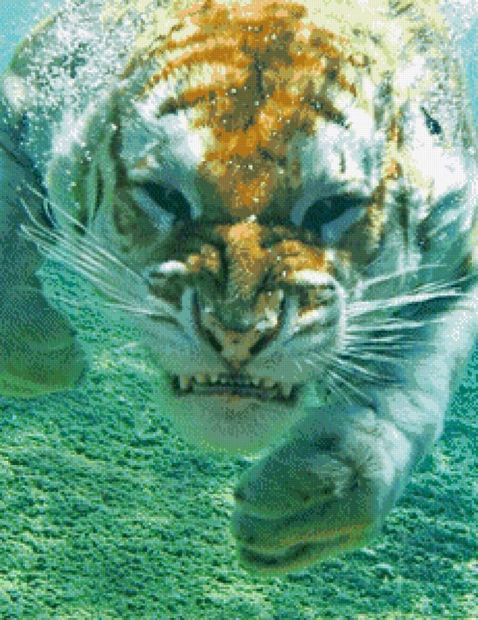 тигр - предпросмотр