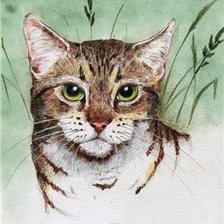 Схема вышивки «кот»