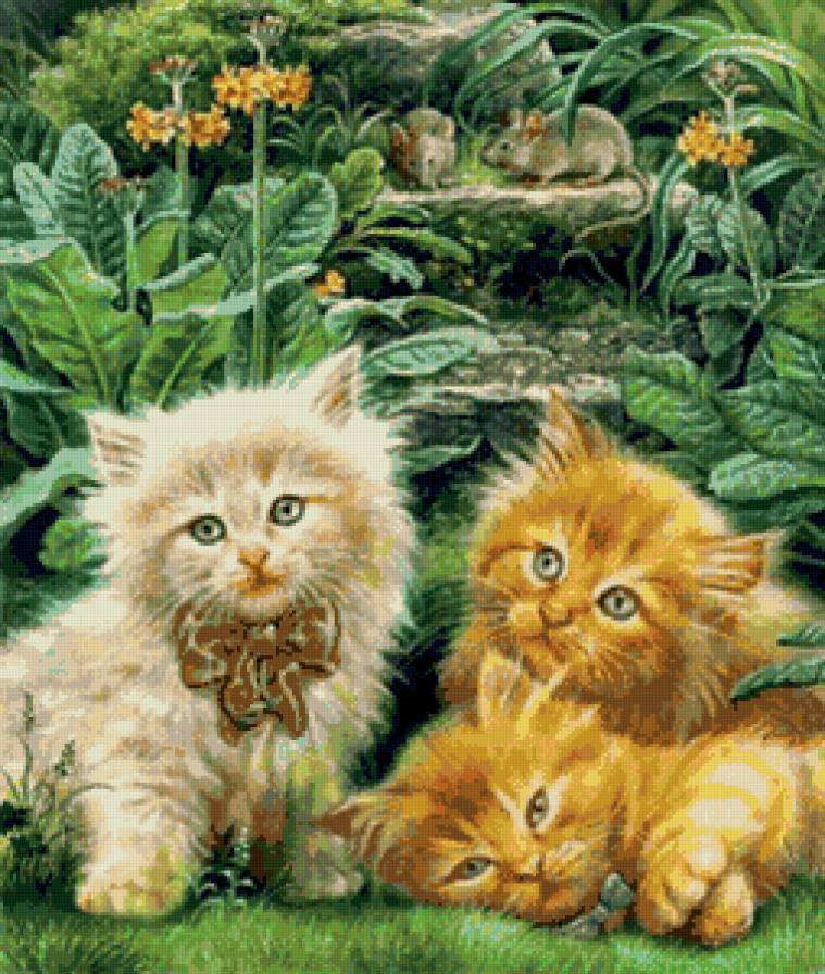 котята - кошка, котята, животные - предпросмотр