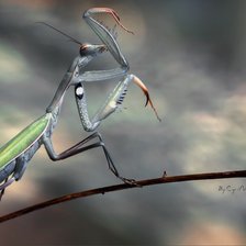 Схема вышивки «У всех один Бог(омол)»