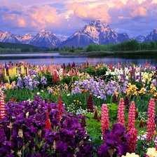 Схема вышивки «cvetochnaja dolina»