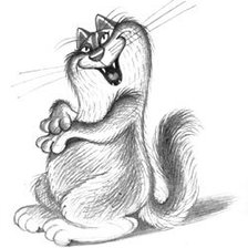 Схема вышивки «кот»