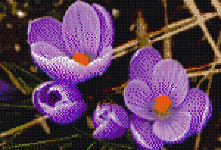 крокусы - крокусы, цветы - предпросмотр