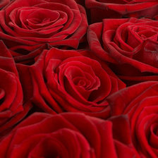 Схема вышивки «картина»