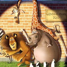 Схема вышивки «мадагаскар»