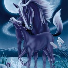 Схема вышивки «лунные»