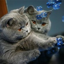 Схема вышивки «животные»