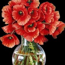 Схема вышивки «маки»