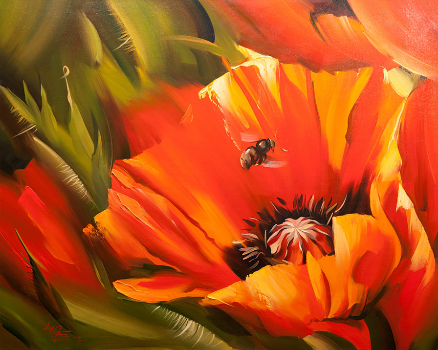 дикий мак - цветы - оригинал