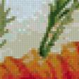 Предпросмотр схемы вышивки «маки» (№736354)