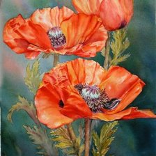 Схема вышивки «маки»