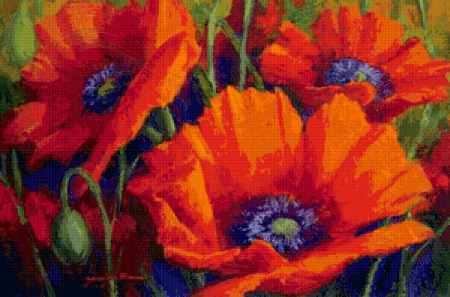 картина маки - цветы - предпросмотр