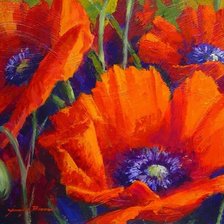 картина маки