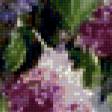 Предпросмотр схемы вышивки «сирень» (№736442)