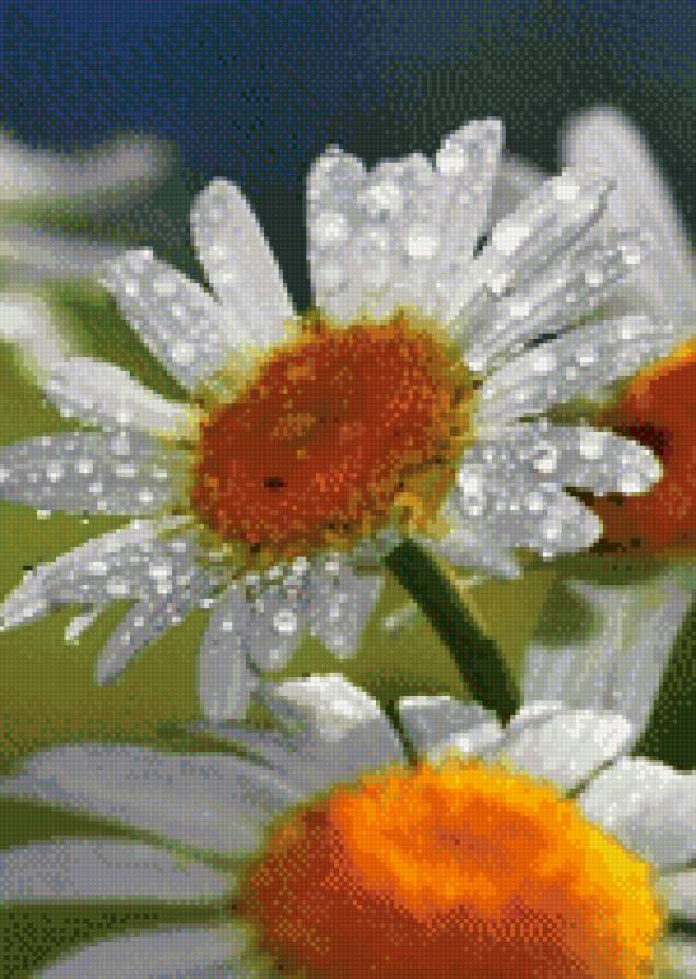 Hjvfirb - предпросмотр